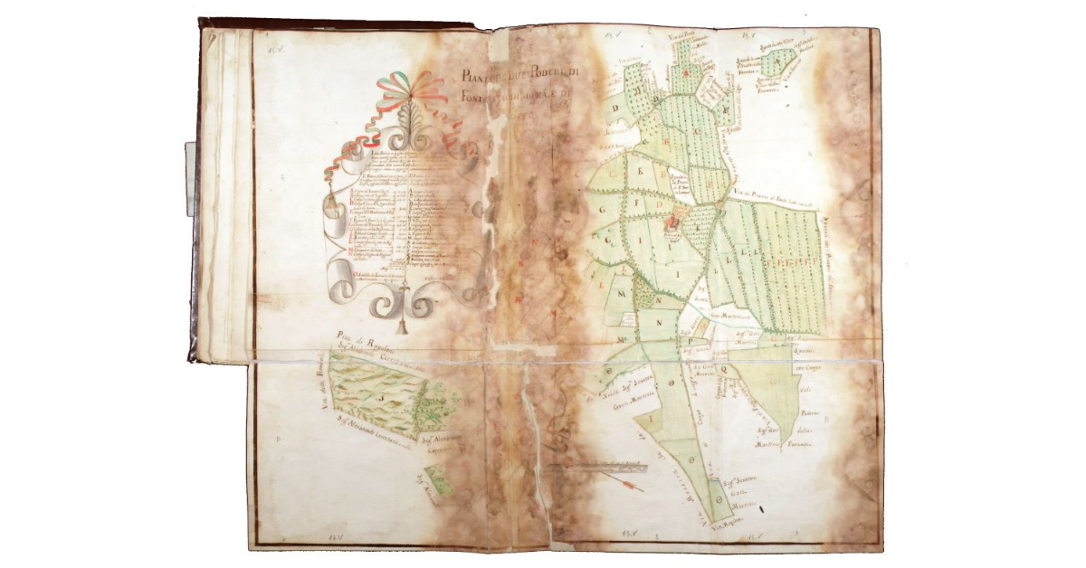 Pianta de due poderi di Fonteluco di Sopra e di Sotto