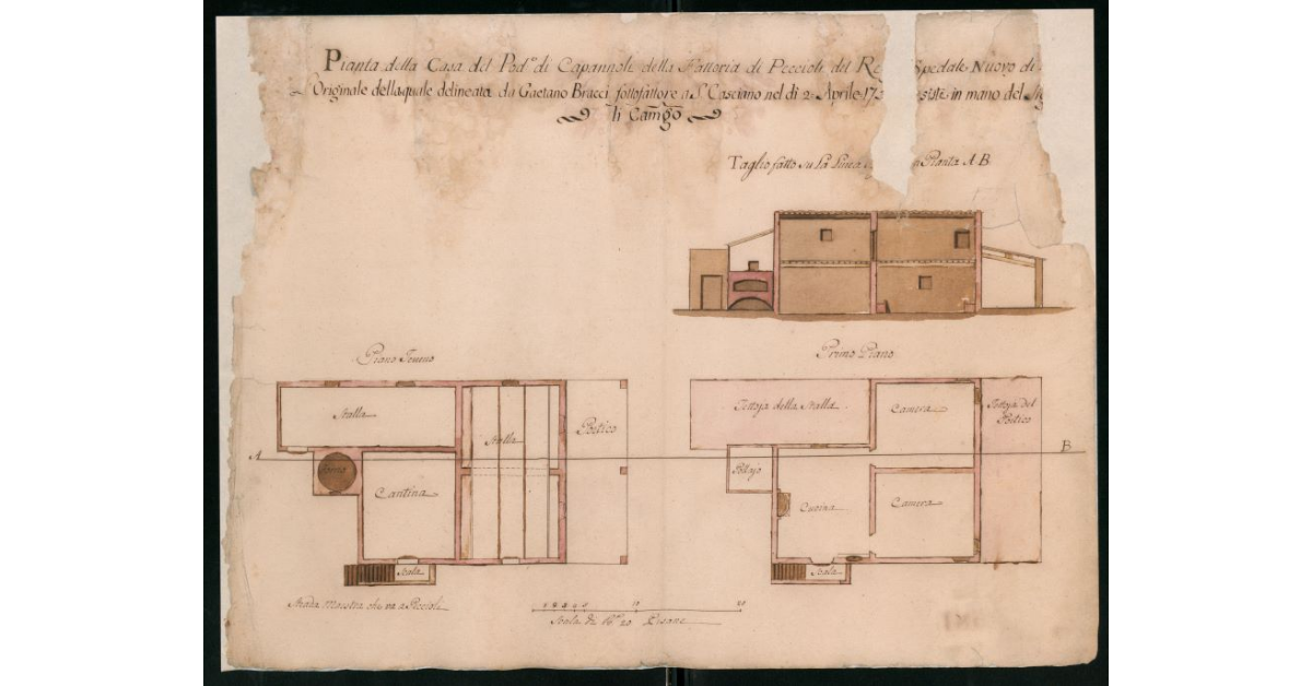 Pianta della casa del Podere Capannoli della Fattoria di Peccioli del Regio Spedale Nuovo di [Pisa]. L'originale della quale delinata da Gaetano Bracci sottofattore a S.Casciano nel dì 2 aprile 1756 esiste in mano del [Sig.Romo]li Camarlingo