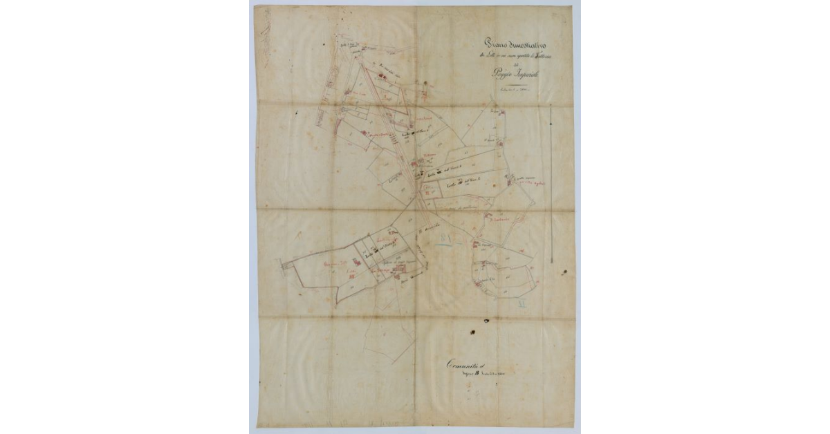 Pianta della Comunità di [Carmignano] (sezione b). Piano dimostrativo dei lotti in cui viene repartita la Fattoria del Poggio Imperiale