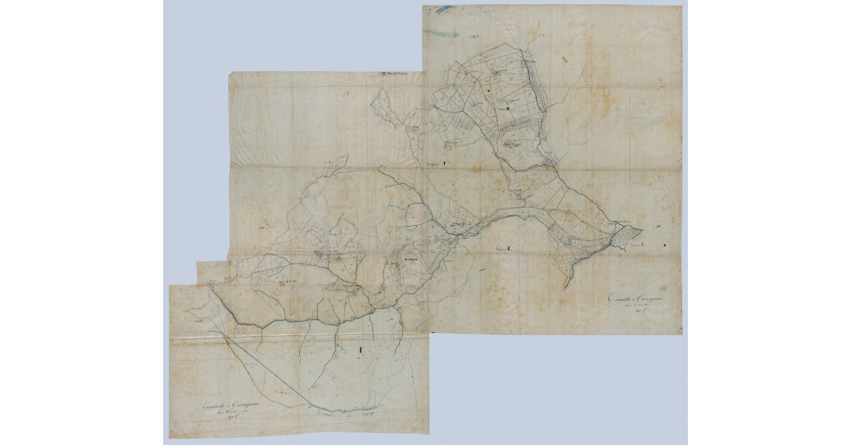 Pianta della Comunità di Carmignano (sezione E, fogli 1 e 2)