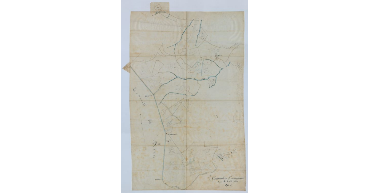 Pianta della Comunità di Carmignano (sezione g, foglio 3)