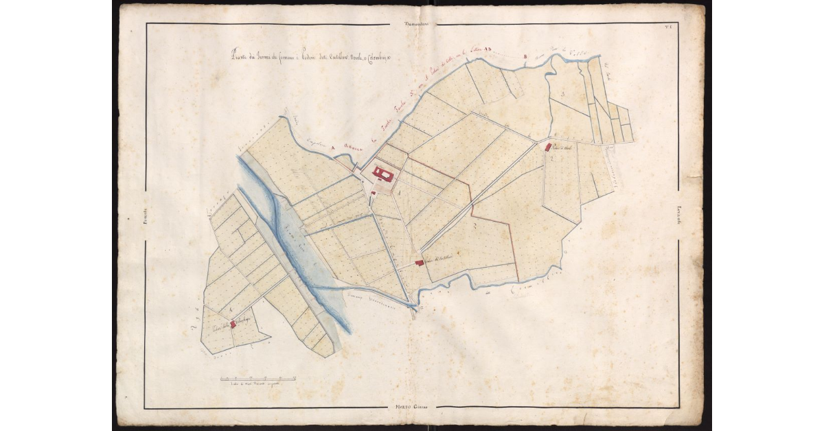 [Pianta dei terreni che formano i poderi detti Castellare, novoli, e Colombaja, facenti parte dell'Imperiale Fattoria del Castellare]