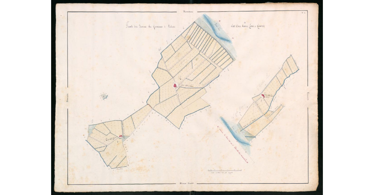 [Pianta dei terreni che formano i poderi detti Casa Nuova, Lame e Guercie, facenti parte dell'Imperiale Fattoria del Castellare]