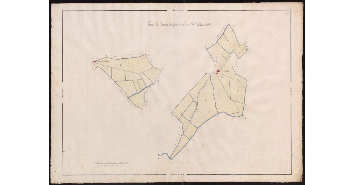 Pianta dei terreni che formano i poderi detti Valletta e Colle, facenti parte dell'Imperiale Fattoria del Castellare