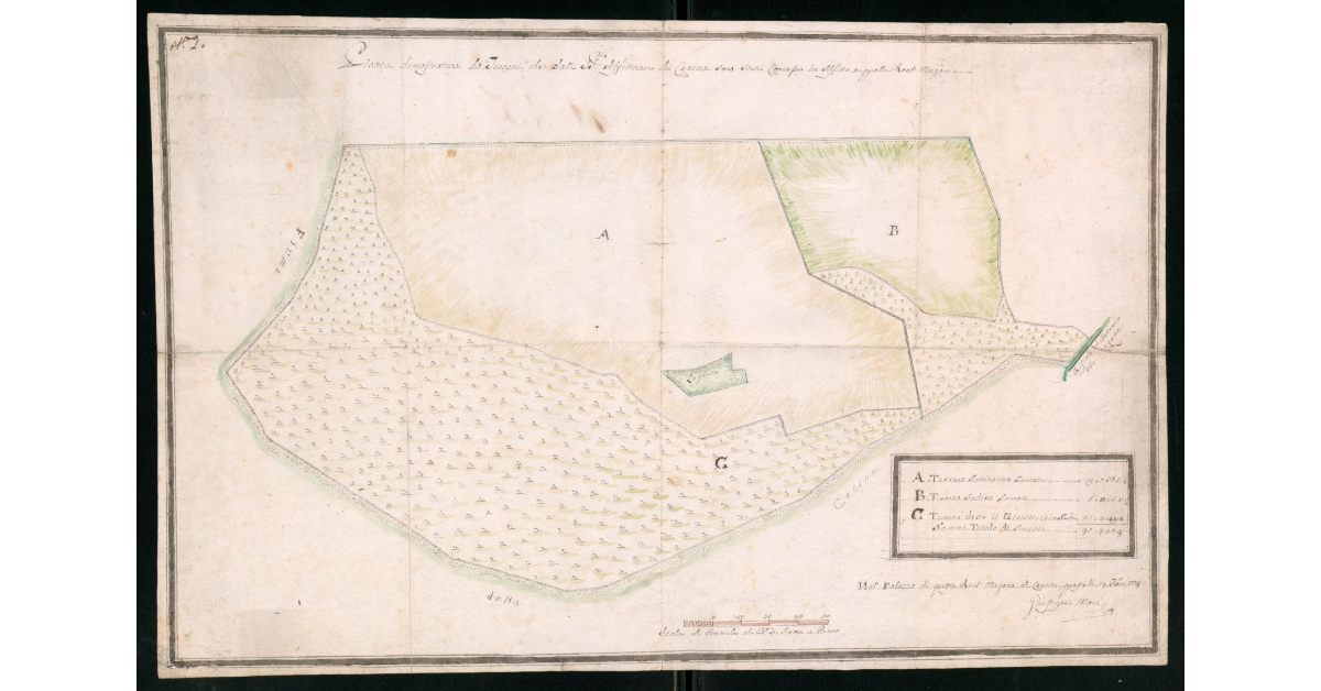 Pianta dimostrativa di terreni, che dalli SS.ri Affittuari di Cecina sono stati concessi in affitto a quella Real Magona