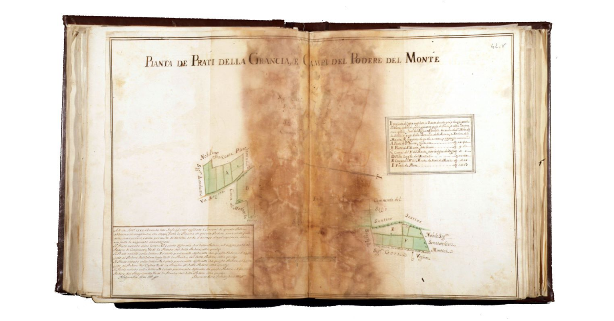 Pianta de Prati della Grancia e campi del podere del Monte