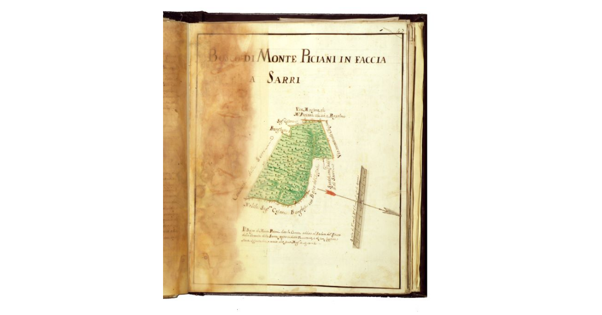 Bosco di Monte Piciani in faccia a Sarri