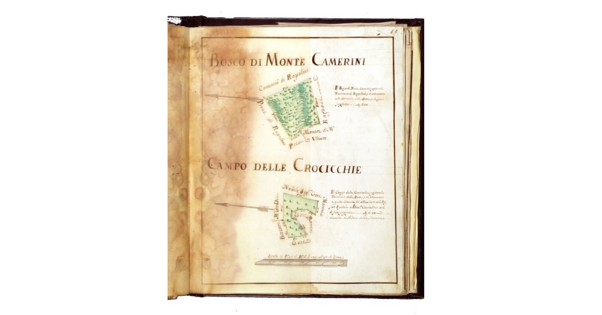 Bosco di Monte Camerini e Campo delle Crocicchie