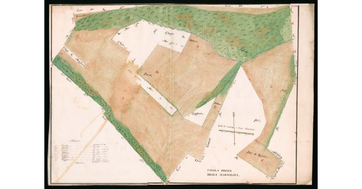 Tavola Prima della Marzolina