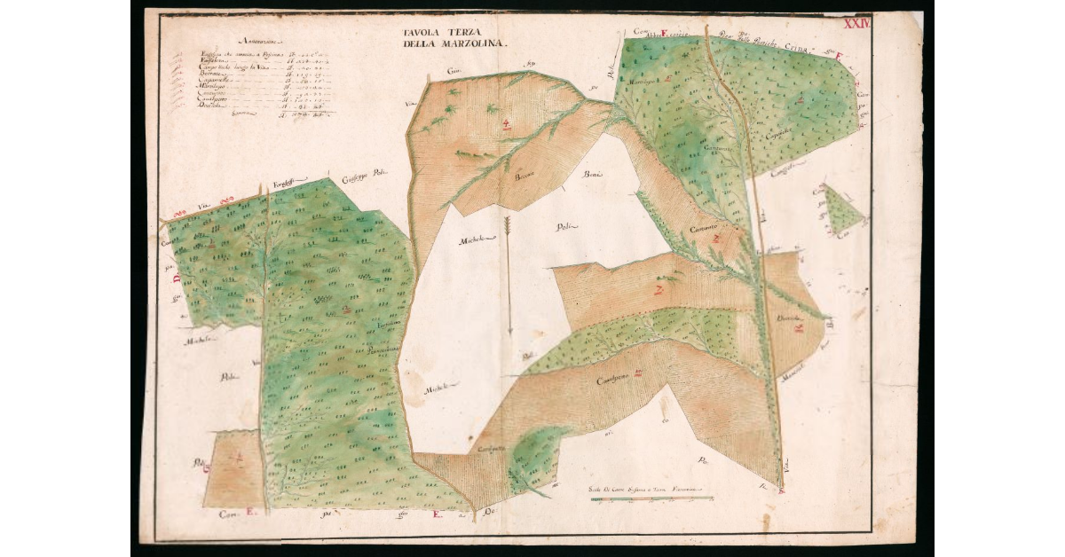 Tavola Terza della Marzolina