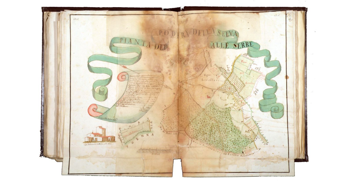 Pianta del podere della Selva alle Serre