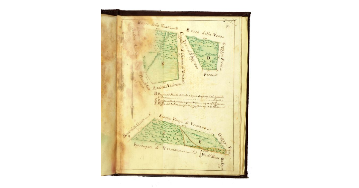 [Podere di Bevignano. Pianta di tre appezzamenti denominati Piaggie]