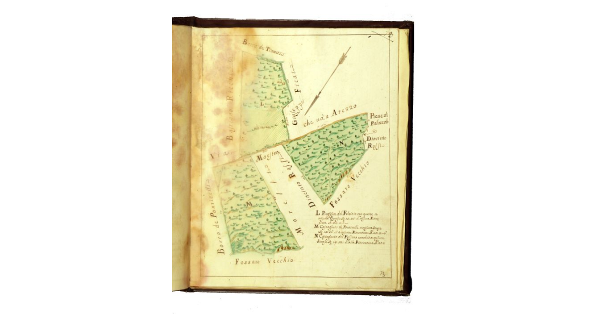 [Podere di Bevignano. Pianta di tre appezzamenti di cui una piaggia e due castagneti]