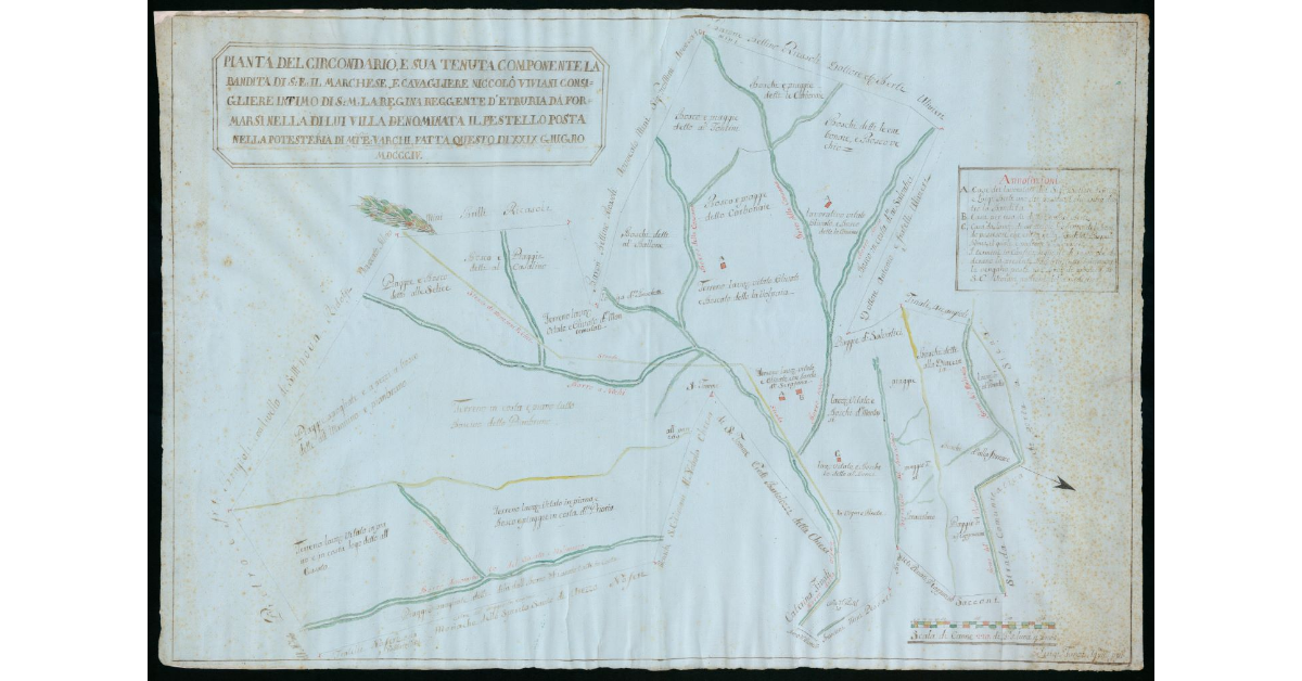 Pianta del Circondario e sua Tenuta componente la Bandita di S. E. il Marchese e Cavalliere Niccolò Viviani Consigliere Intimo di S.M. la Regina Reggente d'Etruria da formarsi nella di lui Villa denominata il Pestello posta nella Potesteria di Montevarchi_x0018_