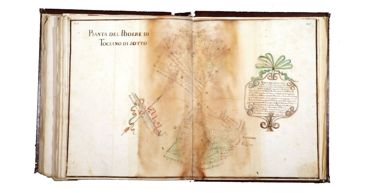 Pianta del podere di Tociano di Sotto