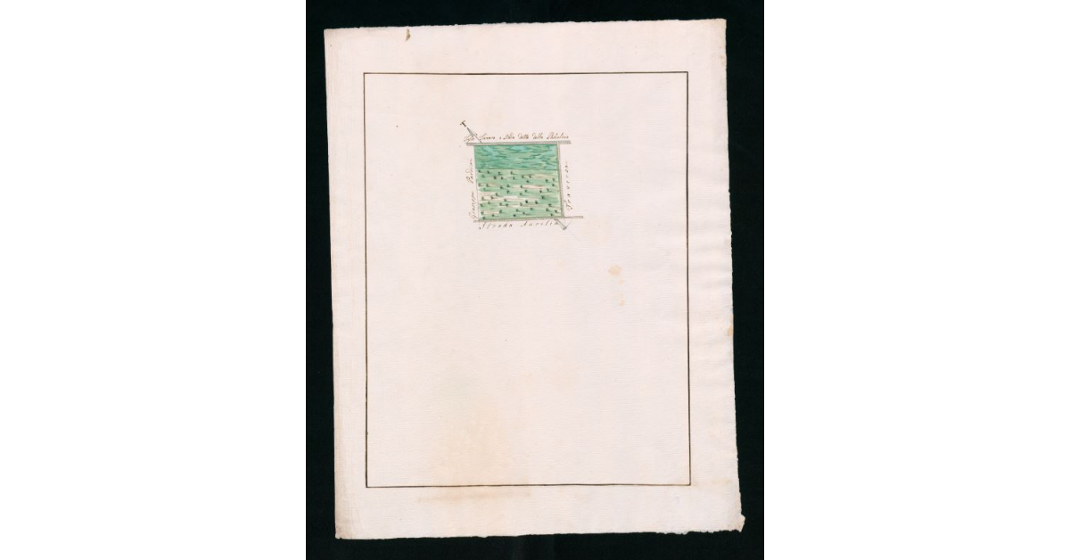 [Mappe pseudo-catastali di terre palustri e a seminativo nudo prive di insediamenti ubicate nella comunità di Grosseto]