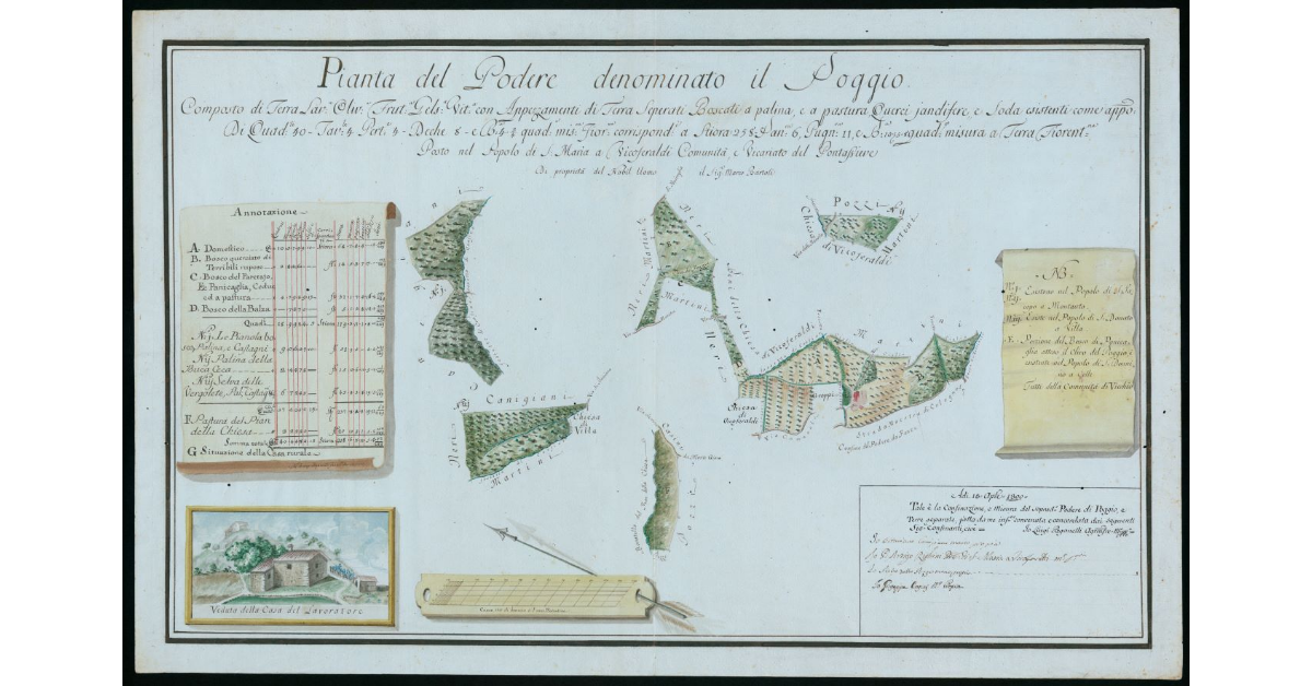 Pianta del Podere denominato il Poggio composto di terra lavorativa olivata. fruttata gelsata vitata con appezzamenti di terra separati boscati a patina e a pastura, querci jandifere, e soda esistenti [. .] nel Popolo di S. Maria a Vicoferaldi Comunità, e_x0018_ Vicariato del Pontassieve di proprietà del Nobil'Uomo il Sig. Marco Bartoli
