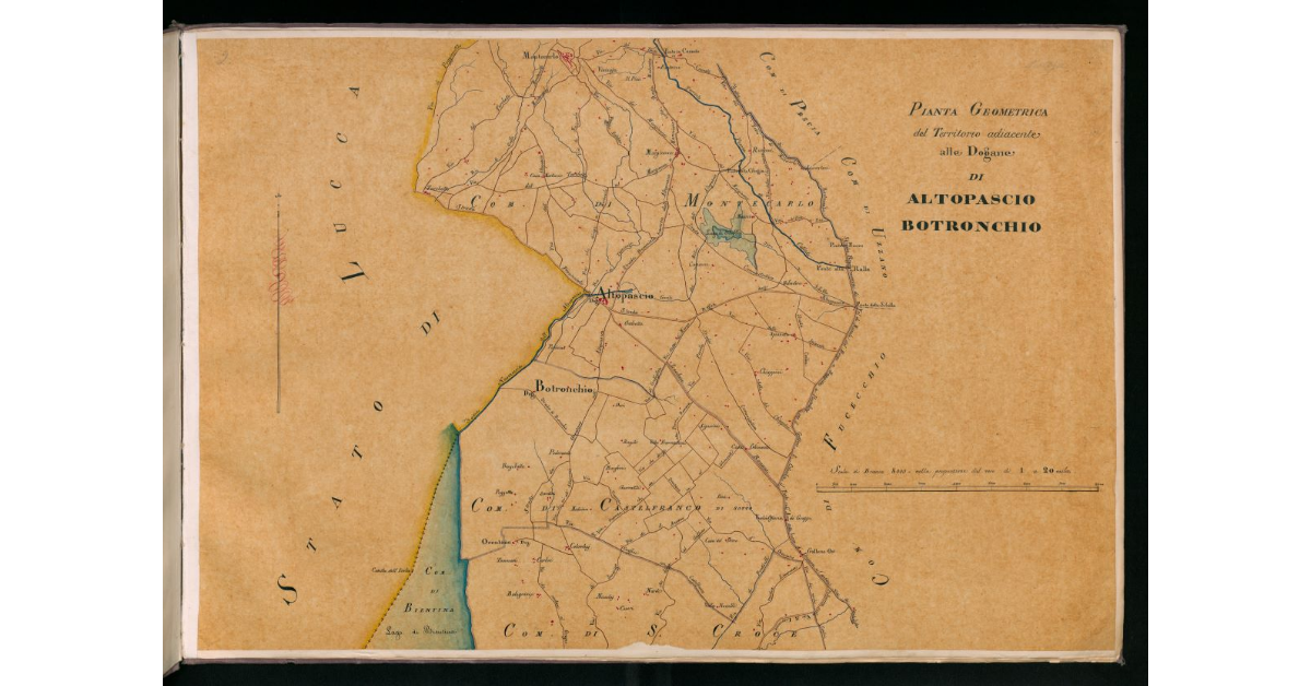 Pianta geometrica del territorio adiacente alle dogane di Altopascio, Botronchio