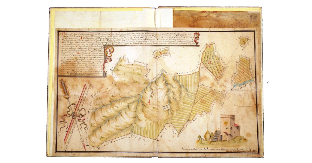 Pianta di diversi appezzamenti di terreno con case da lavoratore attenenti al fideicommisso ordinato del fu monsignore Sforza Nobili nel suo utimo testamento fatto nella città di Ferrara ove era vice legato. Posti nel territorio di Montepulciano, Stato Fiorentino