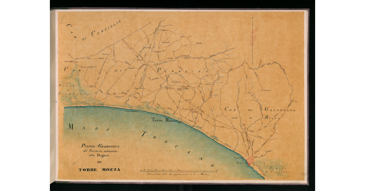 Pianta geometrica del territorio adiacente alla dogana di Torre Mozza
