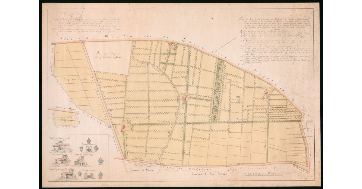 Pianta della Tenuta di Rete di pertinenza degl'Illustrissimi Sig.ri Francesco e fratelli Ricciardi posta nel territorio di Pisa nei Comuni di Bottano e San Stefano