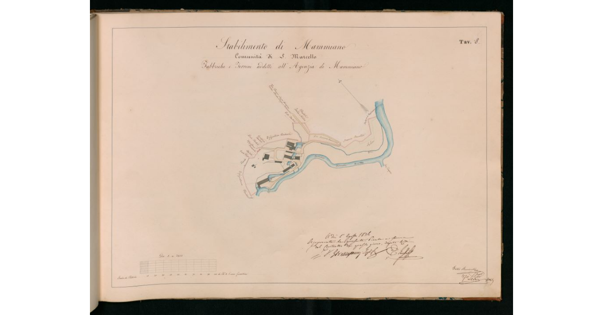 Tav.8 - Stabilimento di Mammiano. Comunità di S.Marcello. Fabbriche e terreni addetti all'Agenzia di Mammiano