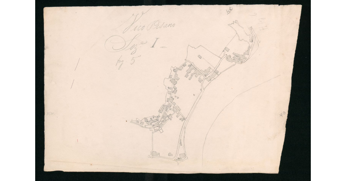 [Sbozzo di pianta catastale dei dintorni di Vico Pisano]