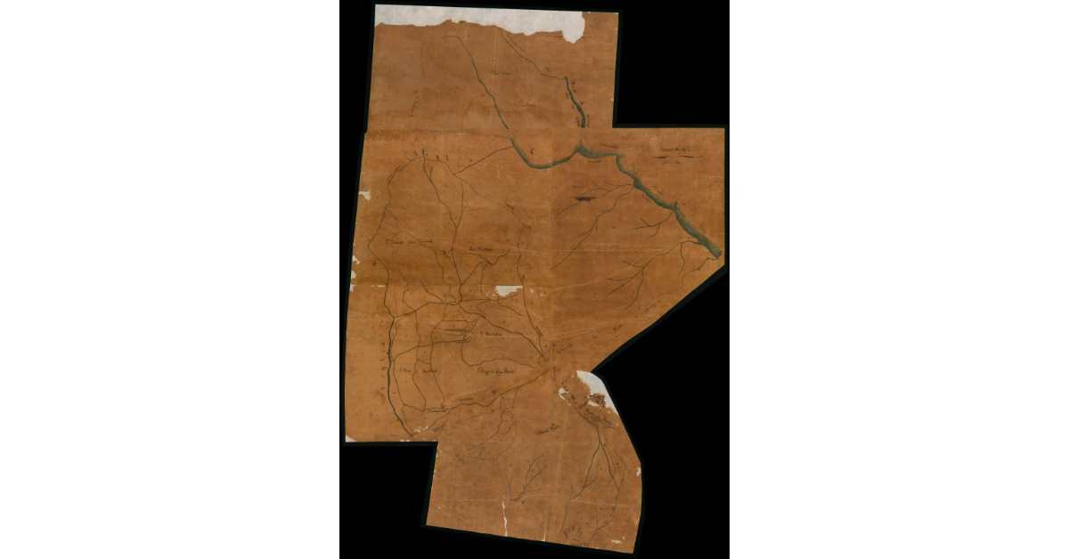 N. 7 - Pianta Geometrica delle Reali Foreste del Teso formata con i lucidi estratti dalle Mappe Geometriche (. . .) di San Marcello esistenti nell'Archivio della Cancelleria (. . .)