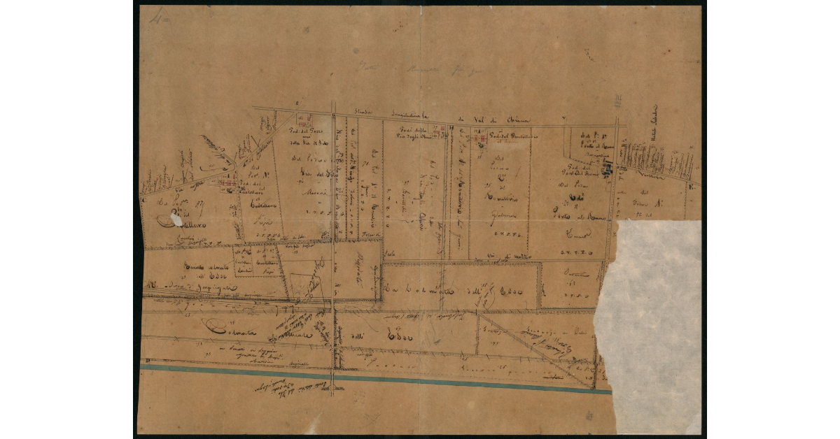 [Carta topografica di un settore appoderato della Valdichiana tra il Canale Maestro e il torrente Esse di Foiano]