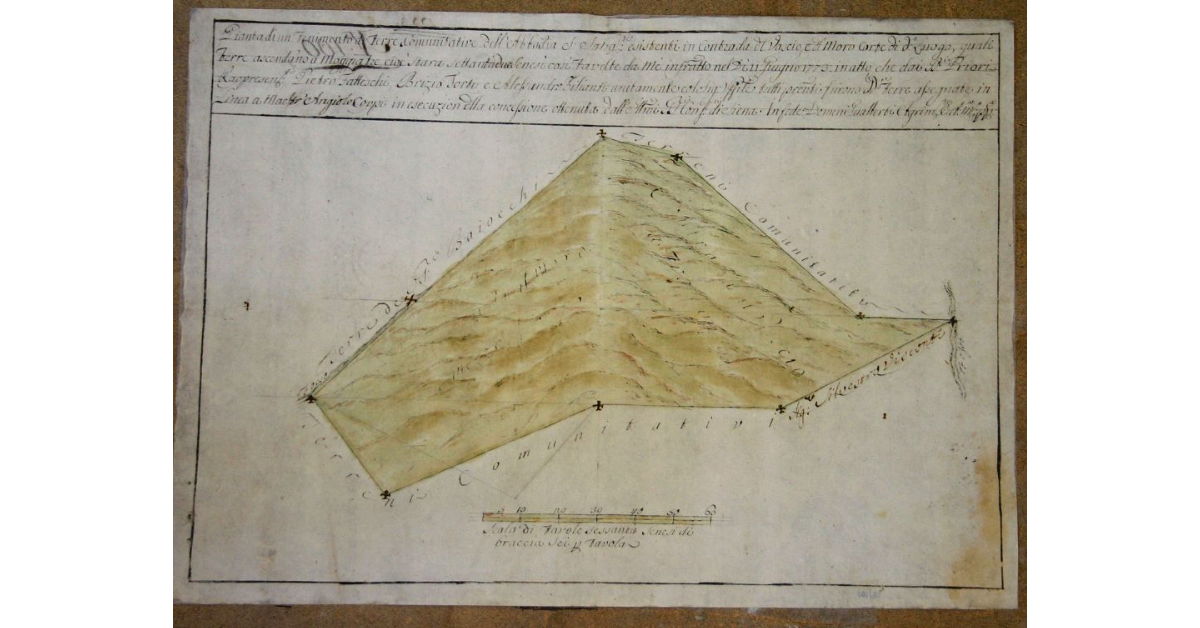 Pianta di un Tenimento di terre Comunitative dell'Abbadia S.Salva.re esistenti in Contrada del Vascio, e del Moro Corte di d.o luogo