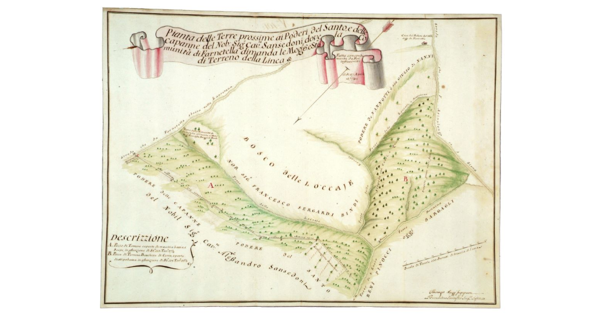 Pianta delle Terre prossime ai Poderi del Santo, e delle capanne del Nobile Signor Cavaliere Sansedoni dove la Comunità di Farnetella dimanda le Moggia 6 e Stare 6 di Terreno della Linea