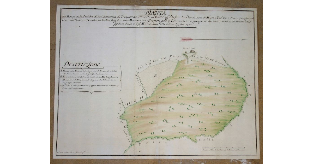 Pianta del Bosco delle Stabbie della comunità di Trequanda allineato al Nobil Signore Alessandro Piccolomini di Staia 182 e Tavole 68, e di una porzione di Terre, del Podere di Casale della Nobile Signora Lavinia Moreschini assegnate alla detta comunità in conguaglio da altri terreni perduti di diverse linee goduti dalla detta Signora Moreschini