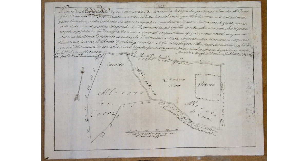 Pianta di un tenimento di Terre comunitative di Sancasciano de Bagni da gran tempo allineate alla Famiglia Damiani di d.o Luogo situate in contrada detta Ranciole