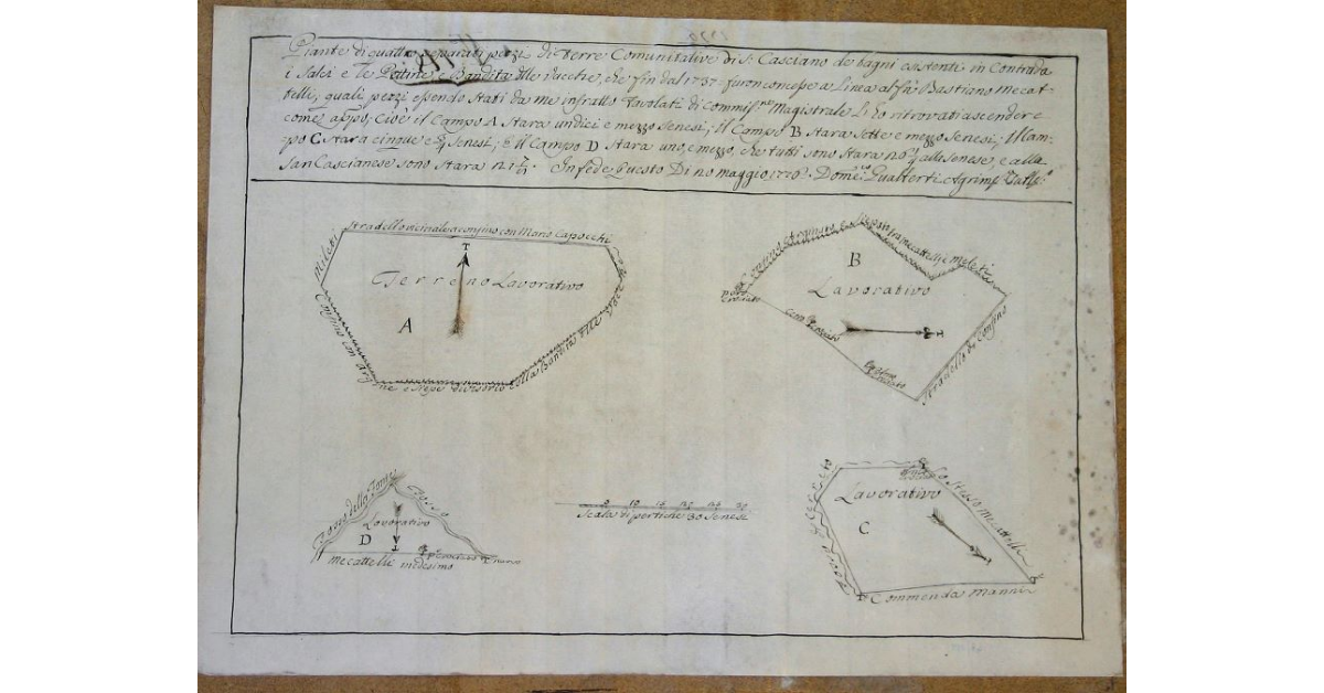 Pianta dei qualttro separati pezzi di Terre Comunitative di S. Casciano de bagni esistenti in Contrada i Salci e le Pettine, e Bandita delle Vacche