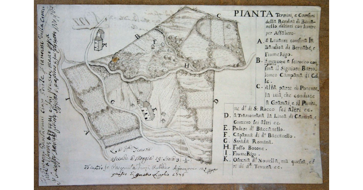 Pianta Termini, e confini della Bandita del Baccanello distinti con Lettere per Alfabeto