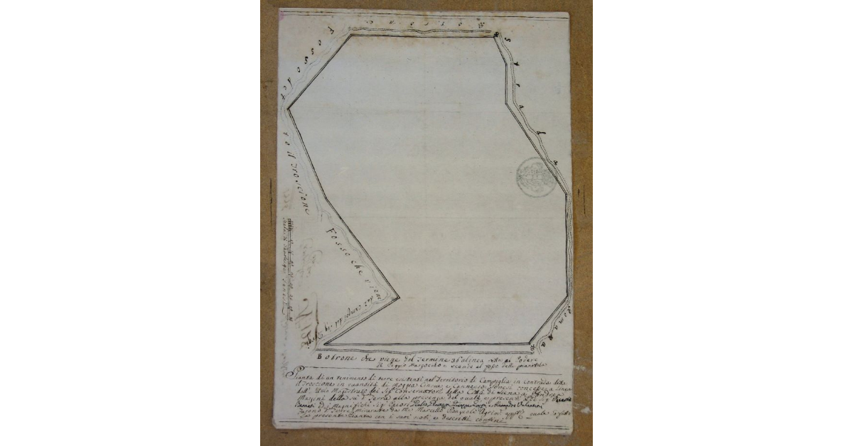 Pianta di un tenimento di terre esistenti nel territorio di Campiglia in Contrada detta il Troscione