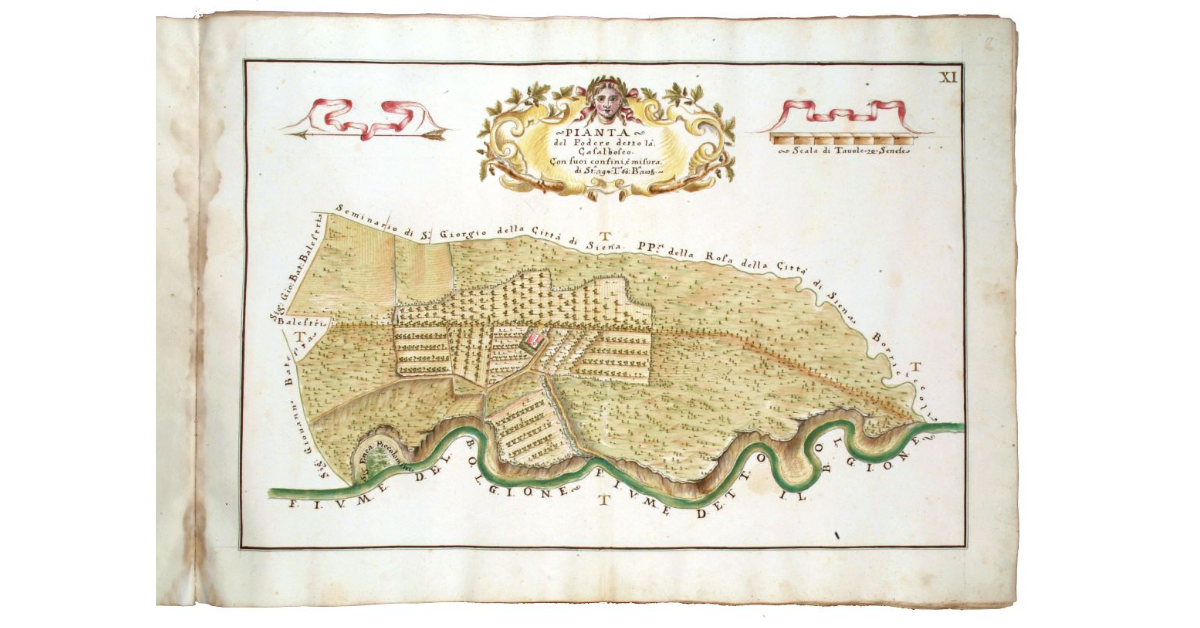 Pianta del podere detto Casalbosco con i suoi confini è misura di staia 29, tavole 63 e braccia 28 5/8