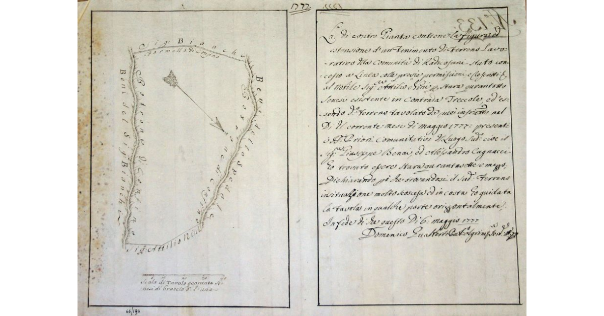 [Radicofani. Enfiteusi col nobi.e Sig.re Attilio Nini. Pianta di un Tenimento di Terre comunitative posto in Contrada Trecciole, concesse in Enfiteusi al pred.o Sig.re Nini]