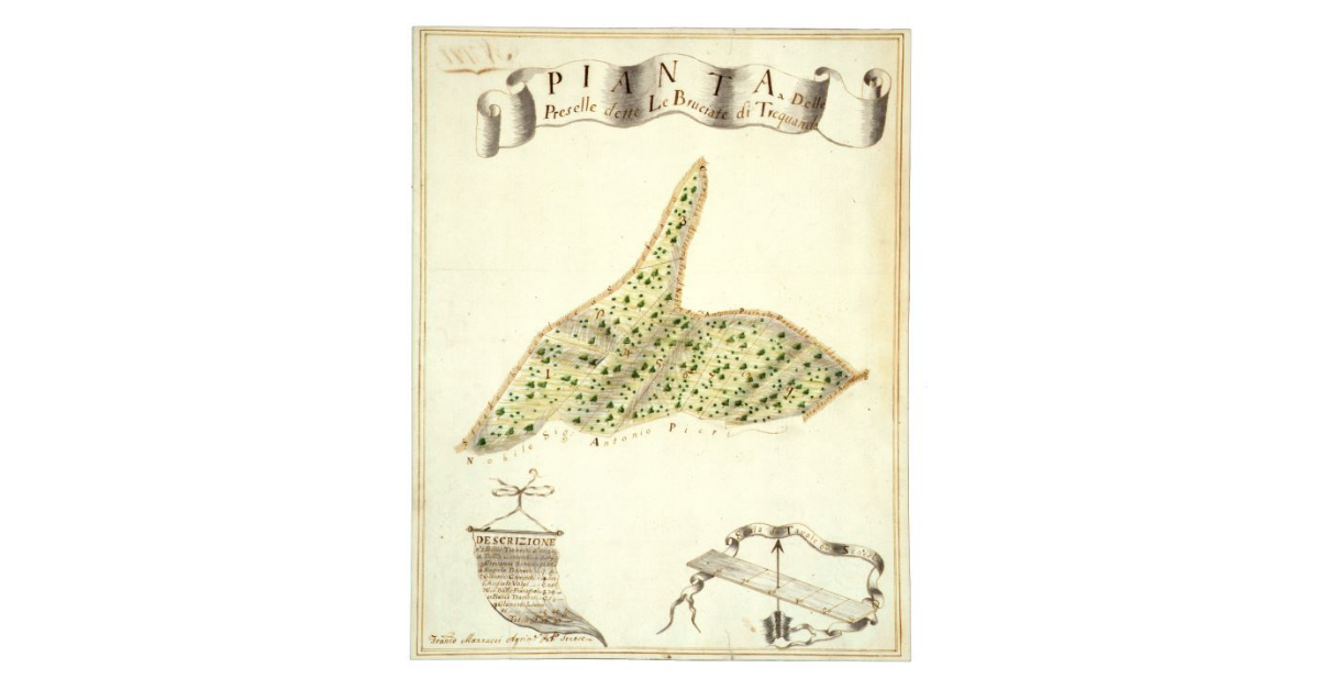 Pianta Delle Preselle dette Le Bruciate di Trequanda