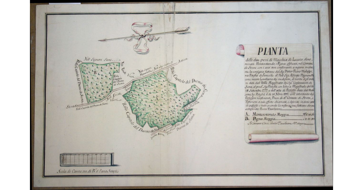 Pianta delli due pezzi di Macchia di Leccio, denominati Monterotondo, e Pigna esistenti, nel Comune di Strove con i suoi veri confinanti a misura mediante la consegna fattane dal Signor Dottor Pietro Malaspina Potestà di Sovicille al Nobile Signore Alfonso Mignanelli, come nuovo Livellario dei medesimi [...]