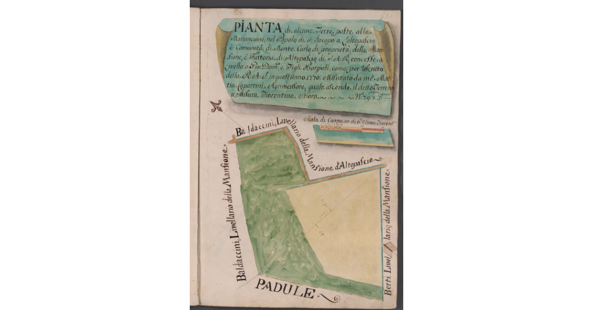 Pianta di alcune Terre poste alle Marancione, nel Popolo di S. Jacopo a Laltopascio e Comunità, di Monte Carlo, di proprietà, della Mansione di Altopascio, di S.A.R. concesse, concesse a Livello a Gio. Dom.co e Figli Borgioli, come per rescritto della R.A.S. in quest'Anno 1770. Misurato da me Mattia Caparrini Agrimesore, quale ascende il detto Terreno a Misura Fiorentina stiora 79, panora 1, pugnora 3