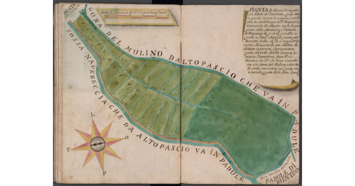 Pianta di Alcune Terre poste sul padule di Bientina, Luogo detto le gronde hò vero le Saggine, nel Popolo di S. Jacopo dell'Altopascio, Comunità di Monte Carlo, di proprietà della Mansione e Fattoria d'Altopascio di S.A.R., concesse a livello a Fran.co Manzoli, come per rescritto della R.A.S. in quest'anno 1771. Misurato da me Mattia di Isidoro Caparrini Agrimesore, quale ascende il detto Terreno a Misura Fiorentina stiora N. 163