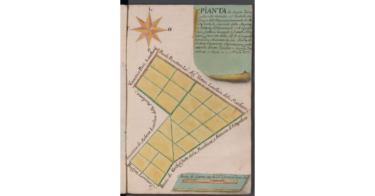 Pianta di alcune Terre, Poste alla Galeotta, nel Popolo di San Jacopo dell’Altopascio, Comunità di Monte Carlo, di proprietà della Mansione e Fattoria d’Altopascio, di S.A.R., concesse a Livello a Giuseppe, e Fratelli Petri, come per Rescritto della R.A.S., in quest’Anno 1771. Misurato da mè Mattia di Isidoro Caparrini Agrimensore, quale ascende il detto Terreno a misura Fiorentina a Stiora n° 11, panora 11, pugnora 1