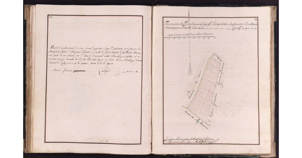 [Tenimento di terra situato in località Sughereto nel comune di Montecarlo]