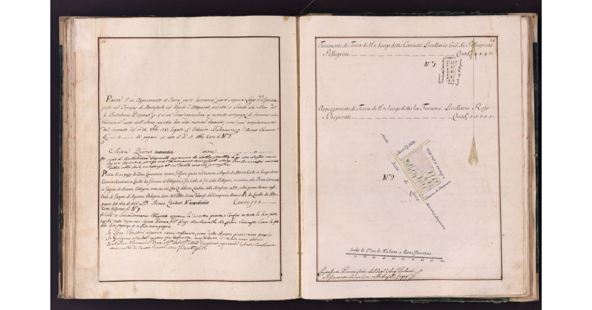 [Appezzamenti di terreno situati in località Canneto e Fornace nel comune di Montecarlo]