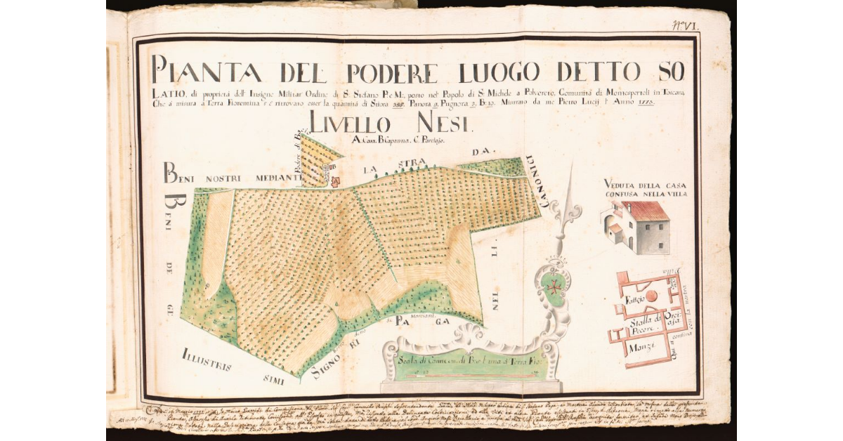 Pianta del podere luogo detto Solatìo [...] posto nel Popolo di S. Michele a Polvereto, Comunità di Montespertoli in Toscana [...]