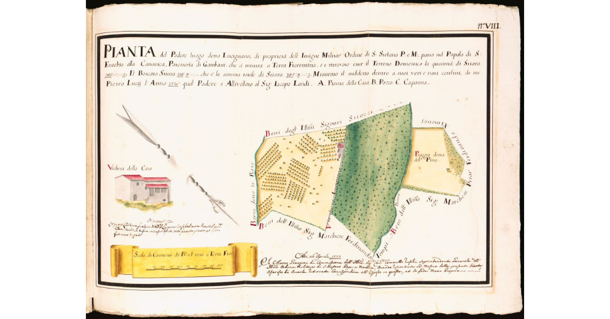 Pianta del podere detto di Lucignano [...] posto nel Popolo di S. Eusebio alla Canonica, Potesteria di Gambassi [...]