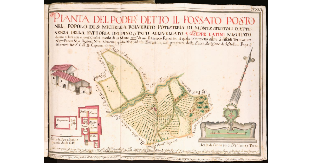 Pianta del Podere detto il Fossato posto nel Popolo di S. Michele a Polvereto Potesteria di Montespertoli d'attenenza della Fattoria del Pino [...]