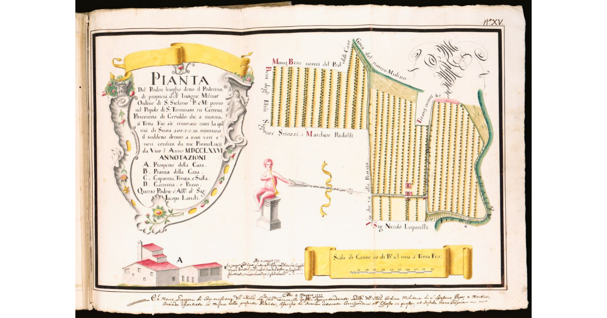 Pianta del Podere luogho detto Il Poderino [...] posto nel Popolo di S. Tommaso in Cerreto, Potesteria di Certaldo [...]