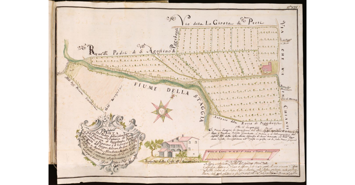 Pianta del podere della Colombaia attenente alla Fattoria del Pino, nella Potesteria di Poggibonsi, Popolo di S. Andrea a Papiano, e San Lorenzo a Poggibonsi [...]